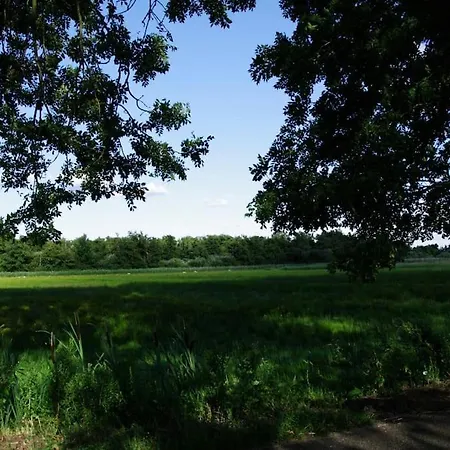 De Morgenzon