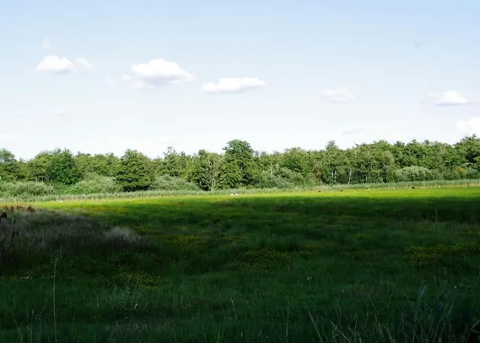 De Morgenzon Appartement Waspik