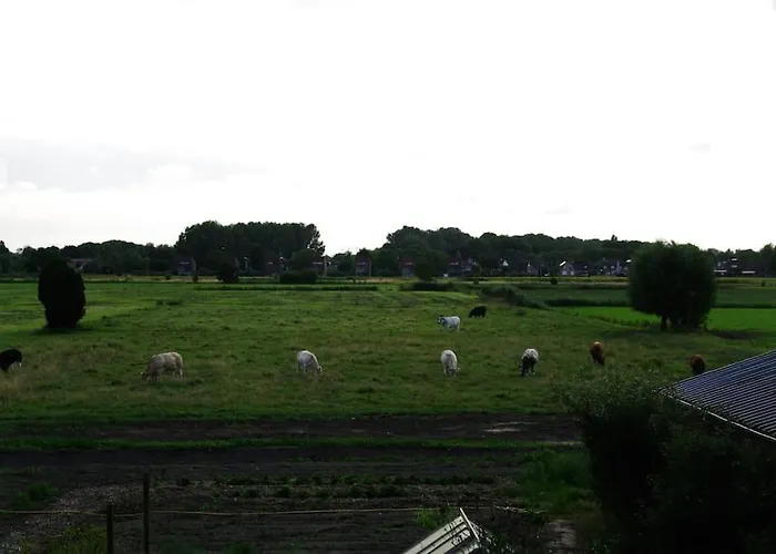 Appartement De Morgenzon